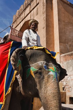 Hindistan, Rajasthan, Jaipur; 20 Ocak 2007, Amber Kalesi, fil sürücüsü - EDITORIAL