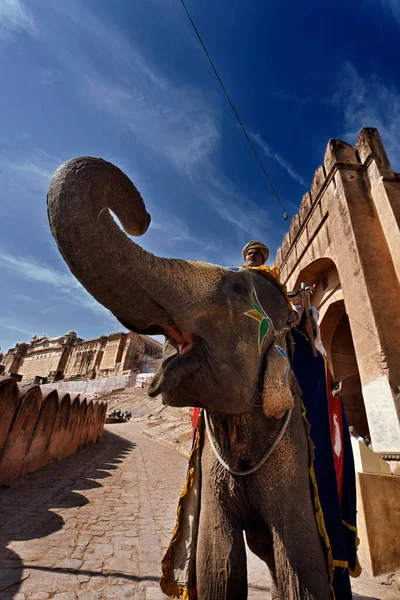 India Rajasthan Jaipur January 2007 Amber Fort Elephant Driver Editorial — Stock Photo, Image