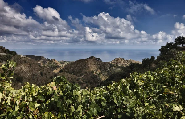 Italy Sicily Castelmola Taormina Winegrape Leaves Sicilian Eastern Rocky Coastline — Stock Photo, Image