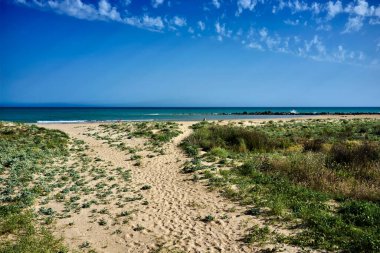 İtalya, Sicilya, Akdeniz, Güney kumlu kıyı şeridi, Playa Grande (Ragusa ili))