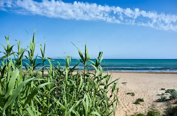 Italy Sicily Mediterranean Sea Southern Sandy Coastline Playa Grande Ragusa — Stock Photo, Image