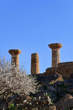 İtalya, Sicilya, Agrigento, Yunan Tapınak Vadisi, Herkül Tapınağı sütunları