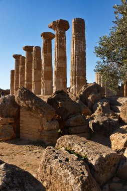 İtalya, Sicilya, Agrigento, Yunan Tapınak Vadisi, Herkül Tapınağı sütunları
