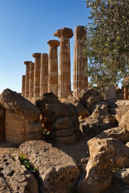 İtalya, Sicilya, Agrigento, Yunan Tapınak Vadisi, Herkül Tapınağı sütunları