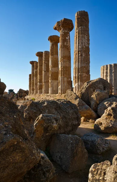 İtalya, Sicilya, Agrigento, Yunan Tapınak Vadisi, Herkül Tapınağı sütunları
