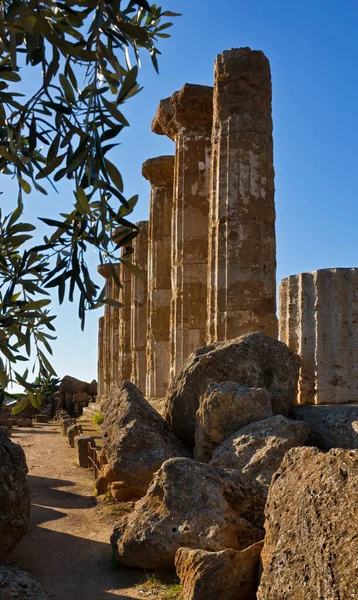 İtalya, Sicilya, Agrigento, Yunan Tapınak Vadisi, Herkül Tapınağı sütunları