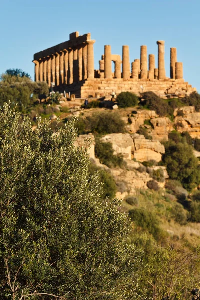 Італія Сицилія Агрігенто Долина Грецьких Храмів Храм Юно 480 420 — стокове фото