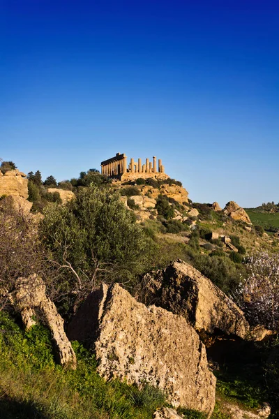 Italia Sicilia Agrigento Valle Los Templos Griegos Templo Juno 480 — Foto de Stock