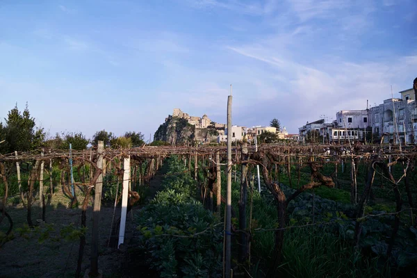 Italia Campania Isola Ischia Ischia Ponte Fortezza Dell Aragona — Foto Stock