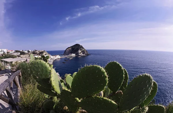 Italie Campanie Île Ischia Angelo Vue Sur Promontoire Angelo — Photo