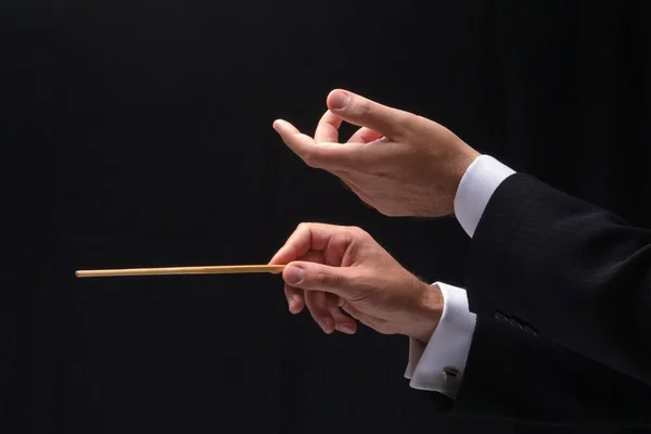 Hands Music Conductor — Stock Photo, Image