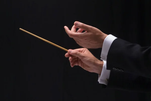 Hands Music Conductor — Stock Photo, Image