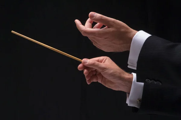 Hands Music Conductor — Stock Photo, Image