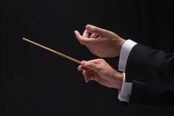 指揮者の手 — ストック写真