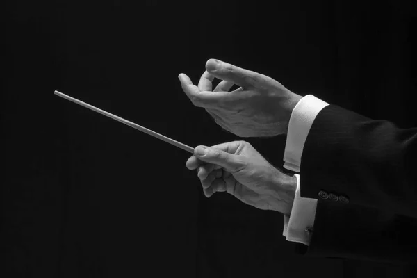 Hands Music Conductor — Stock Photo, Image
