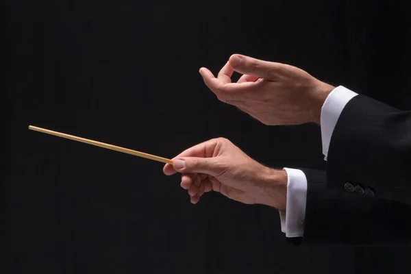 Hands Music Conductor — Stock Photo, Image