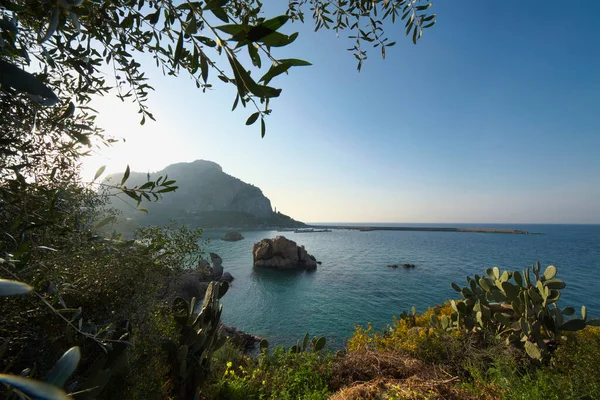 Италия Сицилия Cefalu Колючие Груши Порт Заднем Плане — стоковое фото