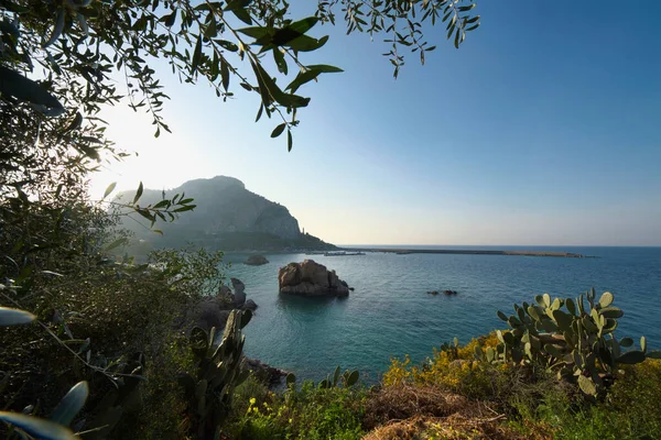 Italia Sicilia Cefalù Fichi India Porto Sullo Sfondo — Foto Stock