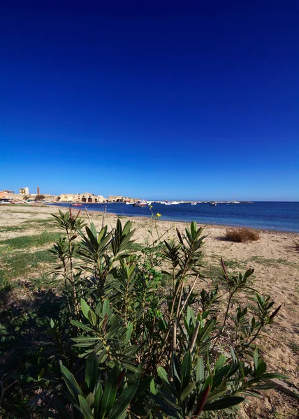 Italien Sicilien Marzamemi Siracusaprovinsen Fiskebåtar Hamnen Och Gamla Byggnaderna För — Stockfoto