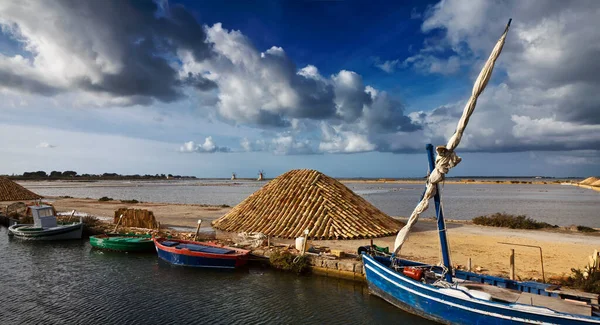 Talya Sicilya Marsala Trapani Mozia Tuz Düzlükleri — Stok fotoğraf