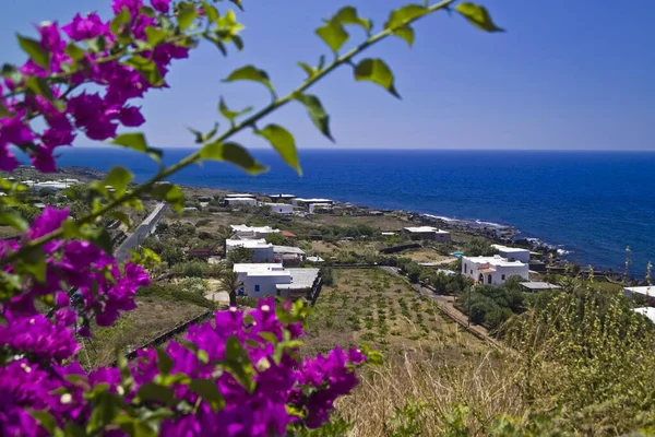 Italien Sizilien Insel Pantelleria Blick Auf Die Insel Und Dammusi — Stockfoto