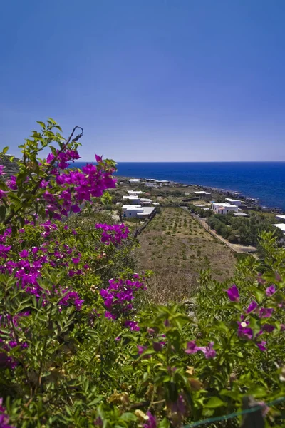 Italië Sicilië Eiland Pantelleria Uitzicht Het Eiland Dammusi Typische Stenen — Stockfoto