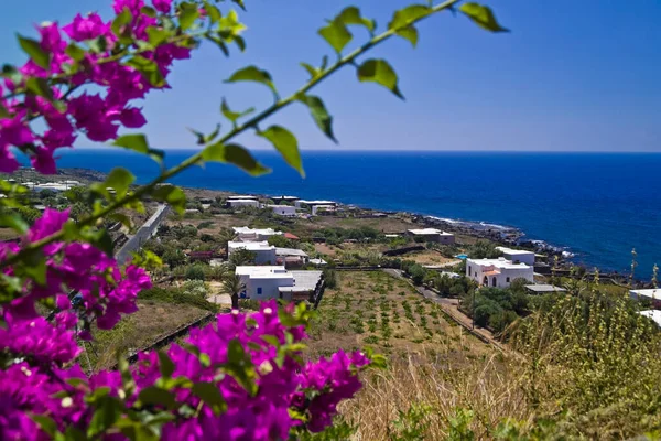 Olaszország Szicília Pantelleria Sziget Kilátás Nyílik Szigetre Dammusi Tipikus Helyi Stock Kép