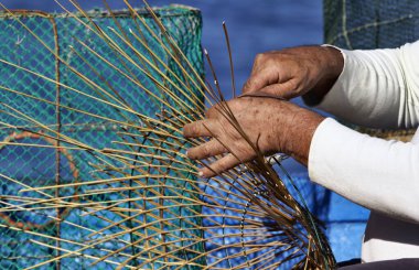 İtalya, Sicilya, Portopalo di Capo Passero, ıstakoz kabı yapan bir balıkçı.