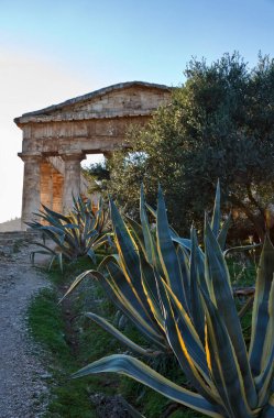 İtalya, Sicilya, Segesta, Yunan Tapınağı