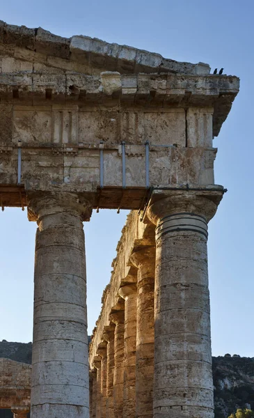 Italie Sicile Ségeste Temple Grec — Photo