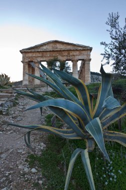 İtalya, Sicilya, Segesta, Yunan Tapınağı