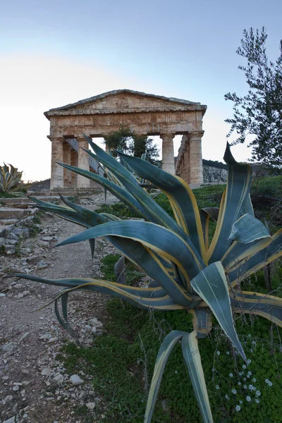 İtalya, Sicilya, Segesta, Yunan Tapınağı