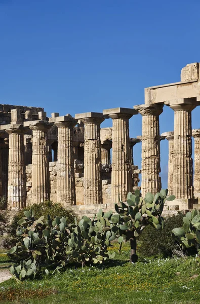 Talya Sicilya Selinunte Yunan Hera Tapınağı 409 — Stok fotoğraf