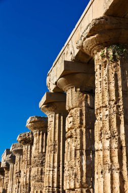 İtalya, Sicilya, Selinunte, Yunan Hera Tapınağı (MÖ 409).)