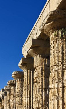 İtalya, Sicilya, Selinunte, Yunan Hera Tapınağı (MÖ 409).)