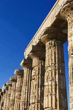 İtalya, Sicilya, Selinunte, Yunan Hera Tapınağı (MÖ 409).)