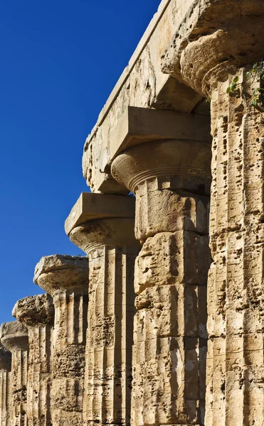 Talya Sicilya Selinunte Yunan Hera Tapınağı 409 — Stok fotoğraf