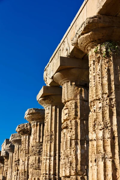 Italia Sicilia Selinunte Tempio Greco Era 409 — Foto Stock