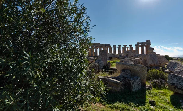 イタリア シチリア島 セリヌンテ島 ギリシャ時代の寺院 409 — ストック写真