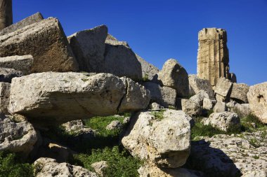 İtalya, Sicilya, Selinunte, Yunan Hera Tapınağı sütunları (MÖ 409).)