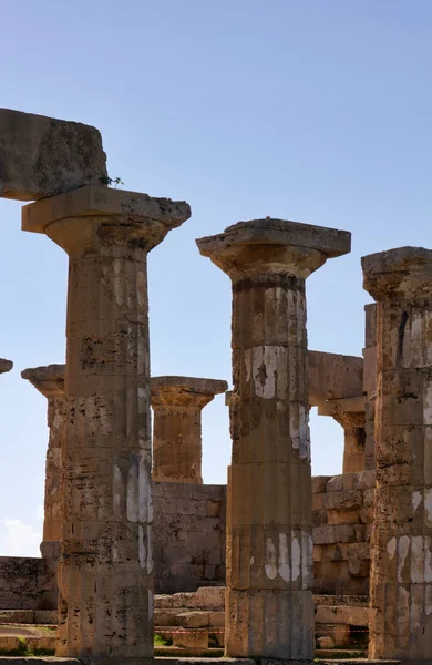 Talya Sicilya Selinunte Yunan Hera Tapınağı Sütunları 409 — Stok fotoğraf