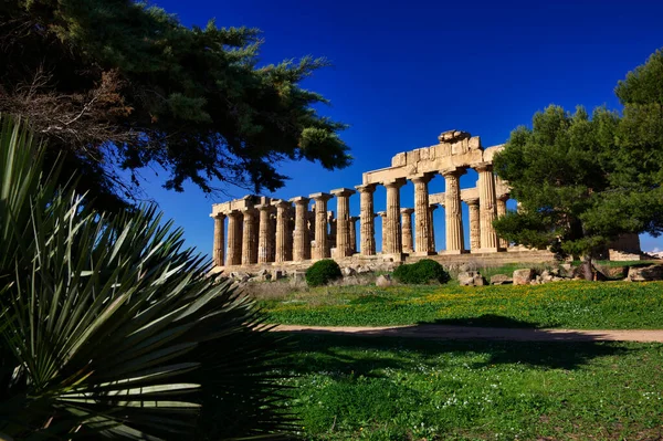이탈리아 시칠리아섬 Selinunte Greek Hera Temple 409 — 스톡 사진