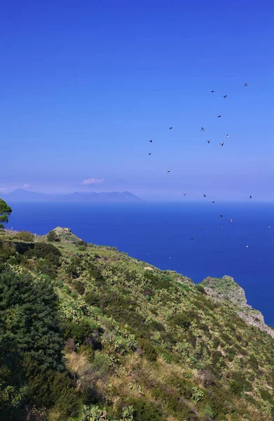 Italie Sicile Tindari Vue Sur Côte Pays Avec Des Poires — Photo