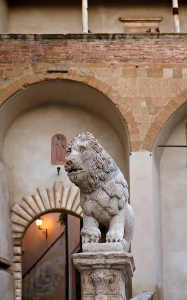 Talya Toskana Pitigliano Belediye Binasının Girişinde Taş Aslan — Stok fotoğraf