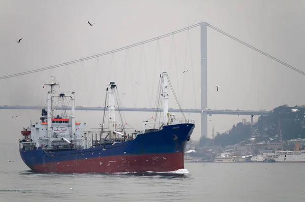 Turkey Istanbul Bosphorus Channel Bosphorus Bridge Cargo Ship Channel — Stock Photo, Image