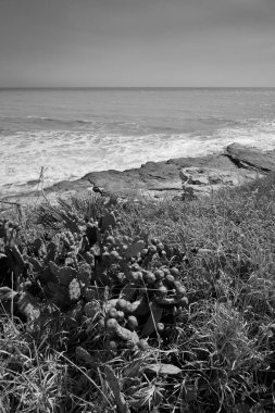 İtalya, Sicilya, Akdeniz, Marina di Ragusa (Ragusa Eyaleti), kayalık kıyı şeridi manzarası