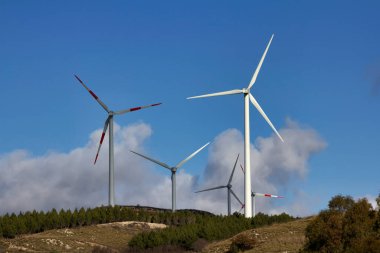 ITALY, Sicily, Francofonte/Catania province, countryside, Eolic energy turbines clipart
