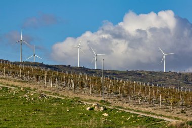 İtalya, Sicilya, Agrigento yakınlarındaki kırsal alanlar, aeolik enerji türbinleri ve üzüm bağları