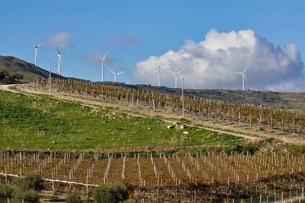 Talya Sicilya Agrigento Yakınlarındaki Kırsal Bölgeler Eolik Enerji Türbinleri Şarap — Stok fotoğraf