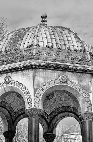 Turquie Istanbul Pigeons Sur Toit Fontaine Allemande Wilhem — Photo